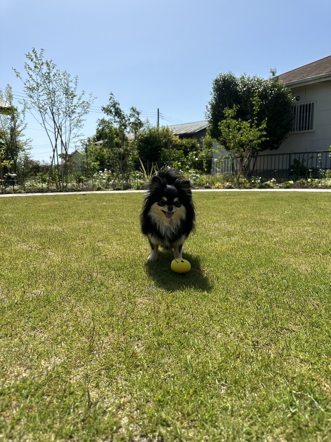 愛犬とオリジナルテラスでゆったり過ごすガーデン